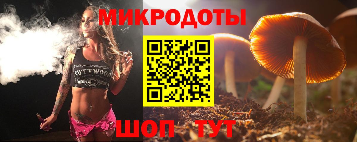 Липецк  Псилоцибиновые грибы Psilocybine cubensis  Вход с VPN 